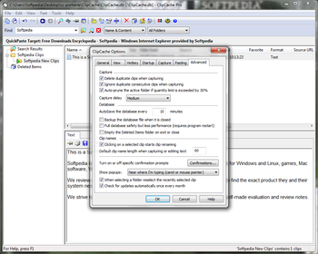 Portable ClipCache Pro screenshot 10