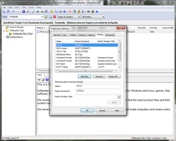 Portable ClipCache Pro screenshot 9