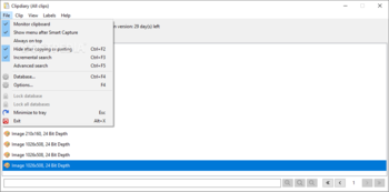 Portable ClipDiary screenshot 3
