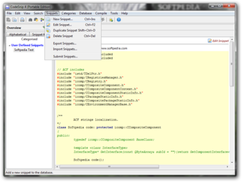 Portable CodeSnip screenshot 3