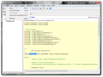 Portable CodeSnip screenshot 4