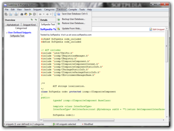 Portable CodeSnip screenshot 7