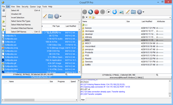 Portable CrossFTP Pro screenshot 4