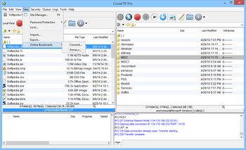 Portable CrossFTP Pro screenshot 6