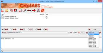 Portable Cr!ptAES screenshot