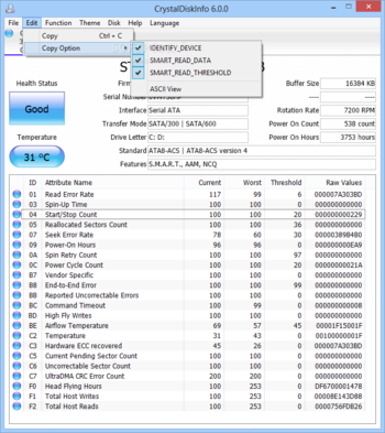 Portable CrystalDiskInfo screenshot 2