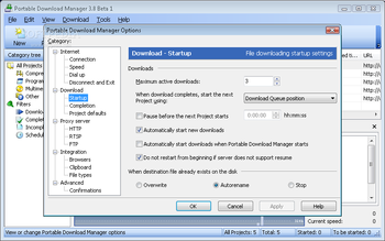 Portable Download Manager screenshot 10