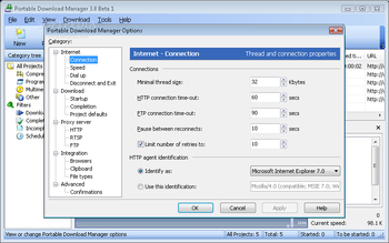 Portable Download Manager screenshot 7