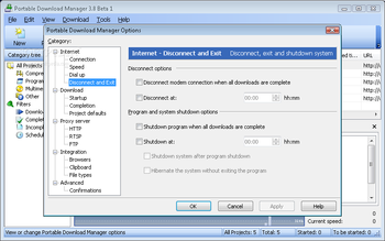 Portable Download Manager screenshot 9