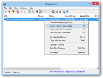 Portable DownTester screenshot