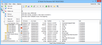Portable EF Multi File Renamer screenshot 3