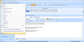 Portable Efficient Diary screenshot 6
