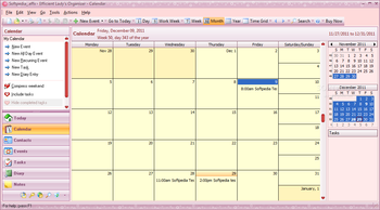 Portable Efficient Lady's Organizer screenshot 2