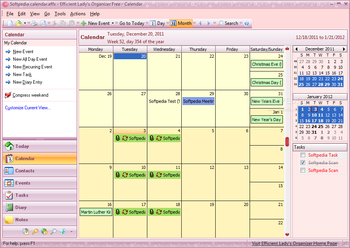 Portable Efficient Lady's Organizer Free screenshot 2