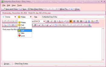 Portable Efficient Lady's Organizer Free screenshot 24