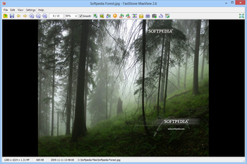 Portable FastStone MaxView screenshot