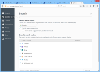 Portable Firefox screenshot 10