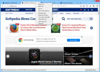 Portable Firefox screenshot 2