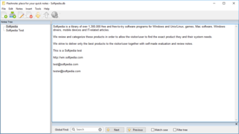 Portable Flashnote screenshot