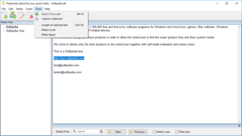 Portable Flashnote screenshot 6