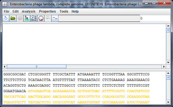 Portable Gene Studio screenshot