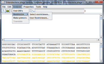 Portable Gene Studio screenshot 3