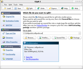 Portable GSplit screenshot