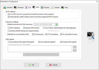 Portable MobaXterm screenshot 13