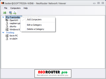 Portable NeoRouter Professional screenshot 2