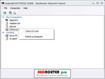 Portable NeoRouter Professional screenshot 3