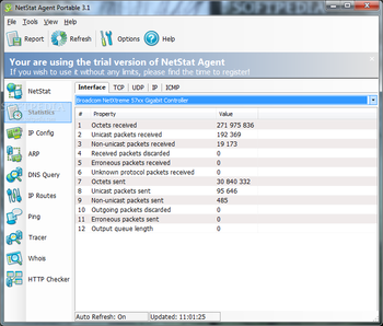 Portable NetStat Agent screenshot 2