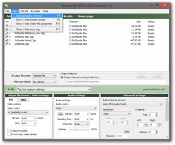 Portable Pazera Free 3GP to AVI Converter screenshot 3