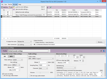 Portable Pazera Free FLV to AVI Converter screenshot 7