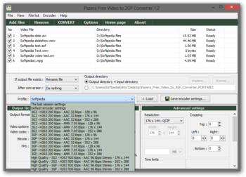 Portable Pazera Free Video to 3GP Converter screenshot 6