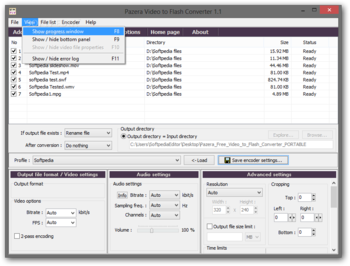 Portable Pazera Free Video to Flash Converter screenshot 3