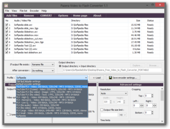 Portable Pazera Free Video to Flash Converter screenshot 6