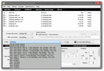 Portable Pazera Free Video to iPod Converter screenshot 7