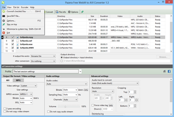 Portable Pazera Free WebM to AVI Converter screenshot 3