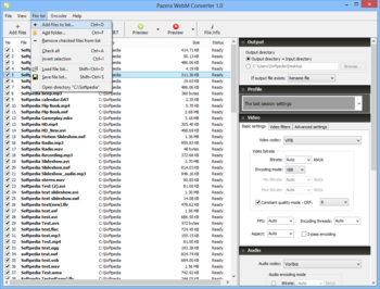 Portable Pazera WebM Converter screenshot 4