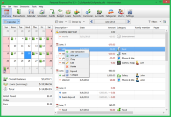 Portable Personal Finances Pro screenshot 2