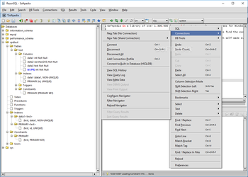 Portable RazorSQL screenshot 2