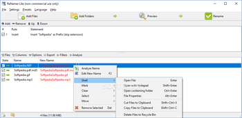 Portable ReNamer Lite screenshot
