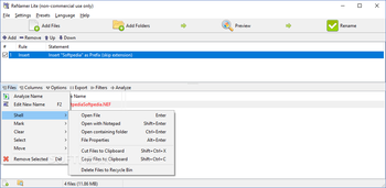 Portable ReNamer Lite screenshot 4