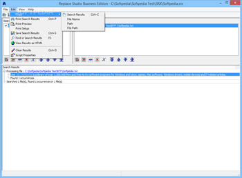 Portable Replace Studio Business Edition screenshot 3