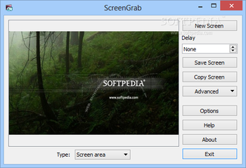 Portable ScreenGrab screenshot