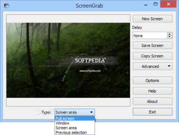 Portable ScreenGrab screenshot 2