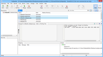 Portable SmartGit screenshot