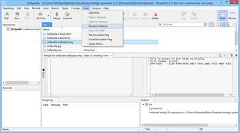 Portable SmartGit screenshot 9