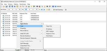 Portable SoftPerfect Network Scanner screenshot 3