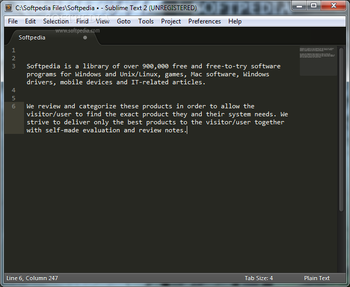 Portable Sublime Text screenshot 11